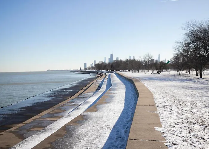Lakeview 1br W Wd Gym Nr Lakefront Trail Chi-203 *