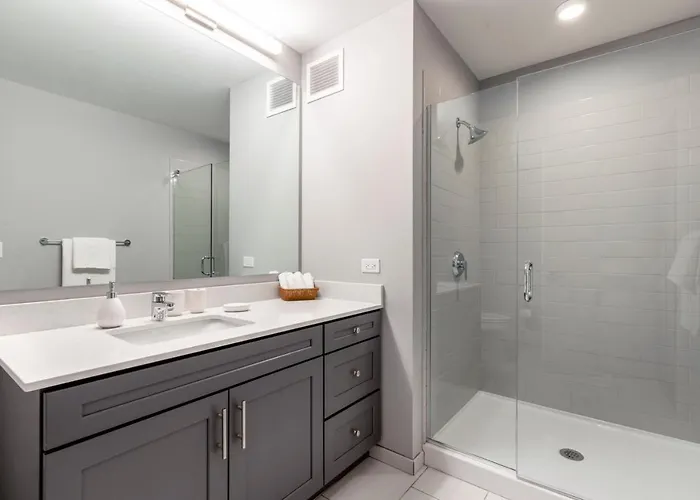 Lakeview 1br W Wd Gym Nr Lakefront Trail Chi-203
